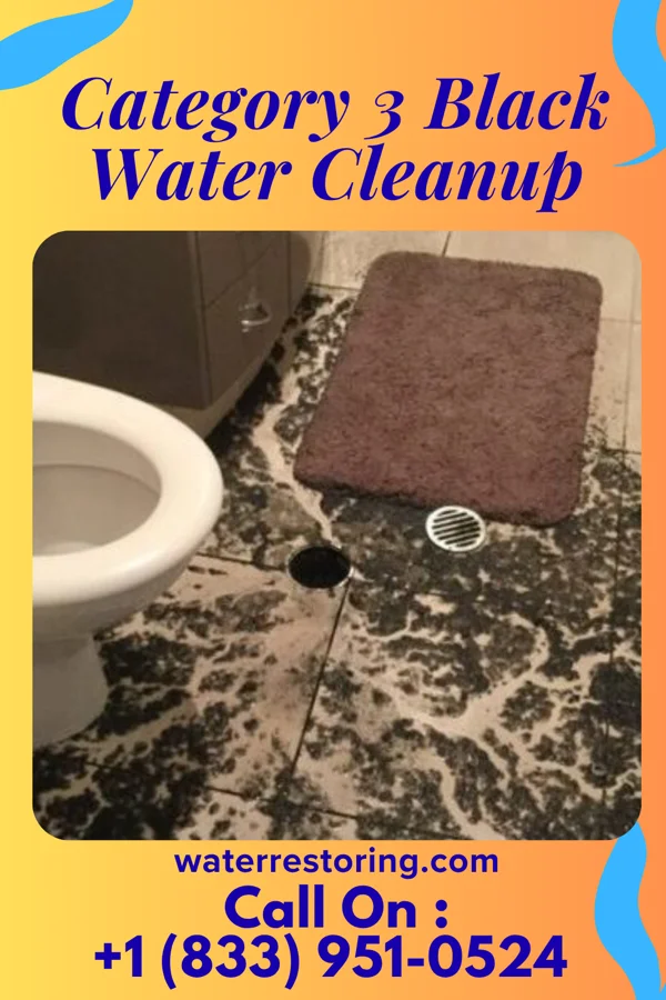 Category 3 Black Water Cleanup in Sayre, OK